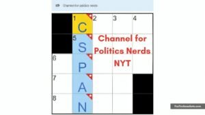 Channel for Politics Nerds NYT